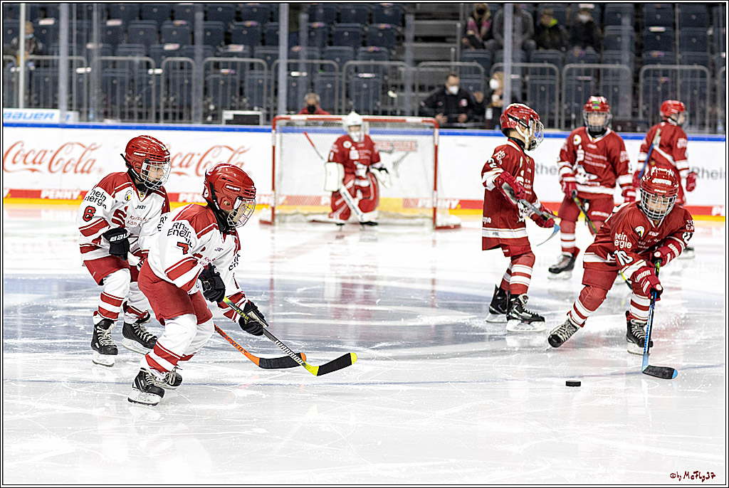 PENNY DEL;  Koelner Haie - Junghaie U9; Koeln, 18.03.2022